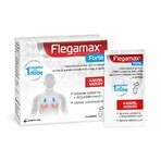 Flegamax Forte 2,7g, 6 Portionsbeutel