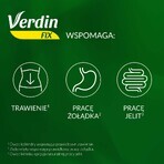 Verdin Fix met citrusvruchten, 20 zakjes