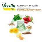 Verdin Fix met citrusvruchten, 20 zakjes