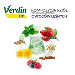 Verdin Fix con frutas del bosque, 20 bolsitas