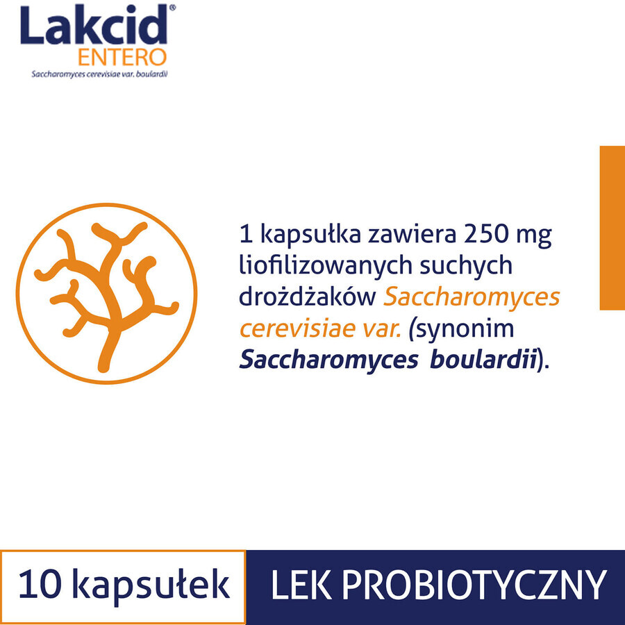 Lakcid Entero 250 mg, 10 cápsulas