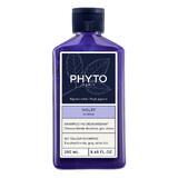 Champú Phyto Purple, No Yellow, 250 ml