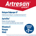 Artresan Efekt, 25 sachets