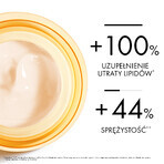 Vichy Neovadiol Post-Menopause, restaurative Nachtcreme gegen Hauterschlaffung, 50 ml