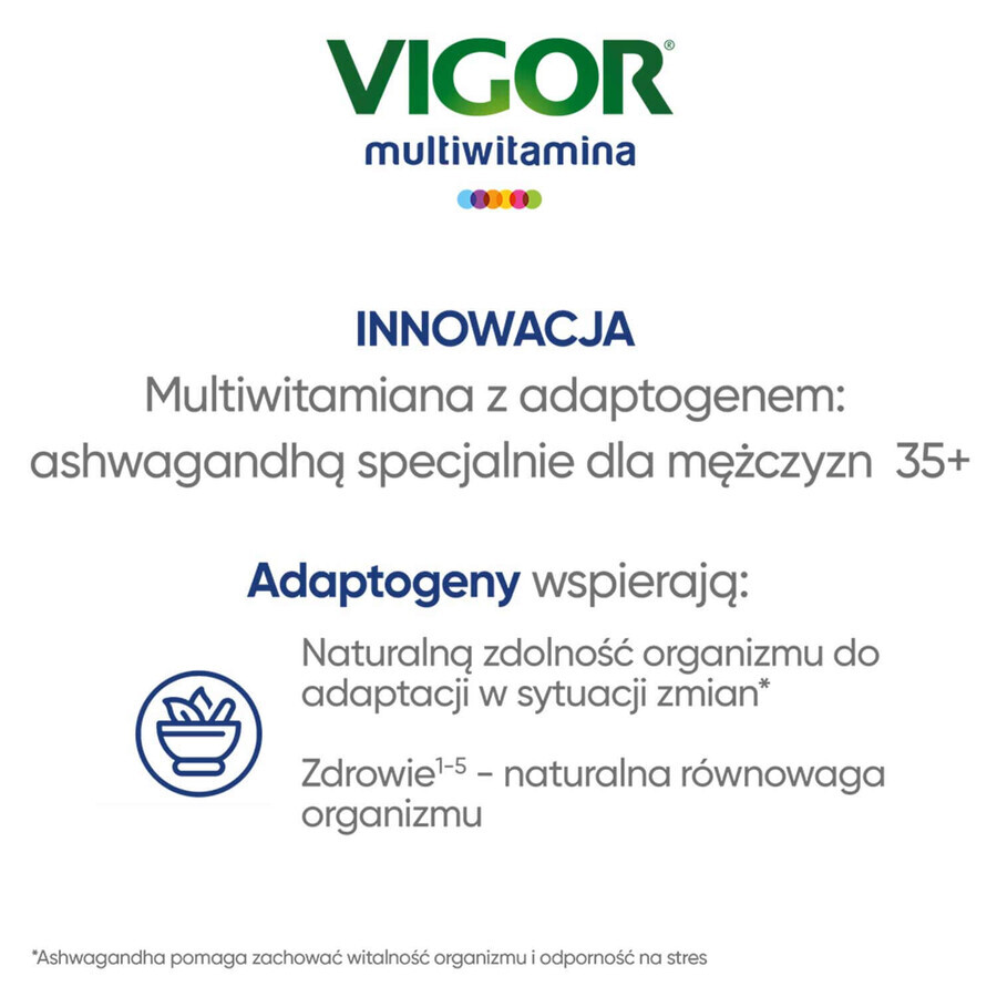 Vigor Multivitamínico On, 60 comprimidos