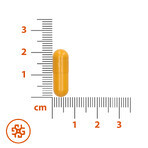 SEMA Lab Probiotique + Prébiotique, 20 gélules à libération retardée