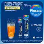 Plusssz Magnesium Forte Citrate, orange-passionate flavor, 24 effervescent tablets