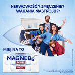 Magne B6 Forte 100 mg + 10 mg, 100 comprimidos recubiertos