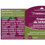 Hojas de Olivo Herbagetica x 60cps