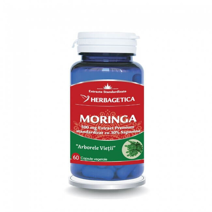 Moringa Herbagetica x 60cps