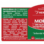 Moringa Herbagetica x 60cps