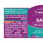 Salvia Herbagetica x 60cps