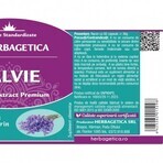 Salvia Herbagetica x 60cps