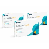 GanglioMix, 3x30 comprimidos, Fidia