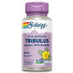 Extracto de fruta de Tribulus, 450 mg, 60 c&#225;psulas vegetales, Solaray