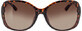 Gafas de sol Sundance Adult, modelo full frame marr&#243;n, 1ud