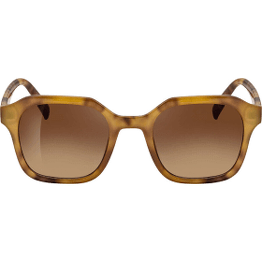 Gafas de sol Sundance para mujer marrón, 1 ud