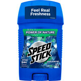 Desodorante sólido Mennen Speed ​​Stick Avalanche, 50 g