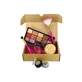 Technic Pinda Make-up Geschenkset, 6 producten