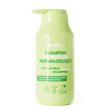 Șampon normalizator pentru păr Holify, 300ml