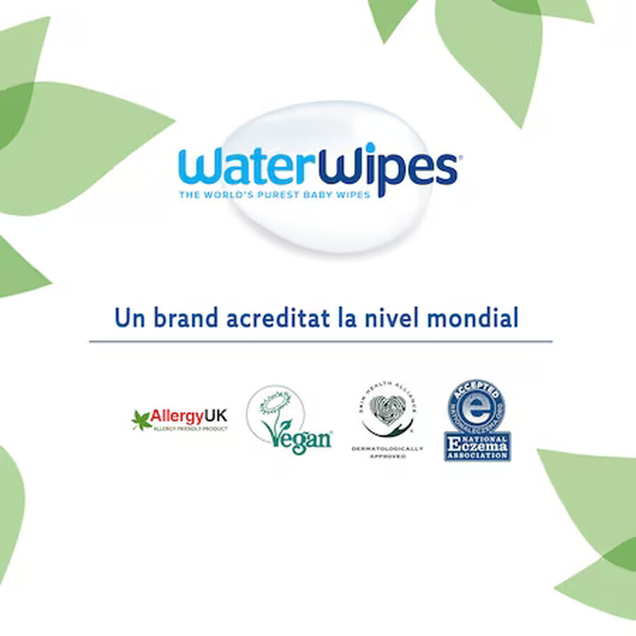 Toallitas húmedas biodegradables para bebés, 9 x 60 unidades, WaterWipes