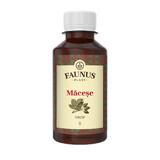 Jarabe de Macese, 200ml, Faunus Plant