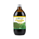 Zumo de Clorofila Ecológico, 500 ml, Health Nutrition