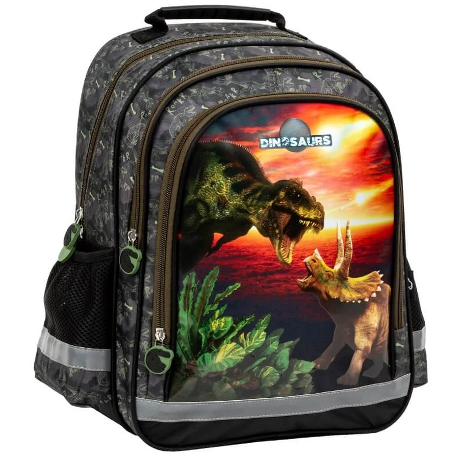 Sac à dos dinosaure 18