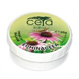 Echinacea ointment, 20 g, Ceta Sibiu