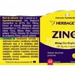 Zinc Forte, 60 cápsulas, Herbagetica