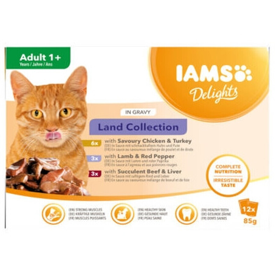 Iams, Alimento para gatos adultos, 12 x 85g