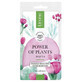 Lirene Mascarilla Facial Alisante Poder de las Plantas Opuntia, 17g