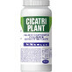 Cicatri Polvo cicatrizante vegetal, 100 g, Pasteur