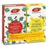 Biomicin Forte A15, 15 cápsulas blandas + Healthy Stomach D49, 63 cápsulas, Fares