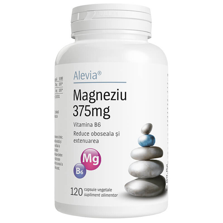 Magnesio 375mg B6, 120 cápsulas, Alevia