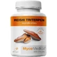 MycoMedica Reishi triterpen 90 cápsulas