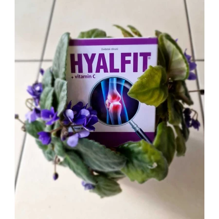 Hyalfit + Vitamin C, 90 Kapseln