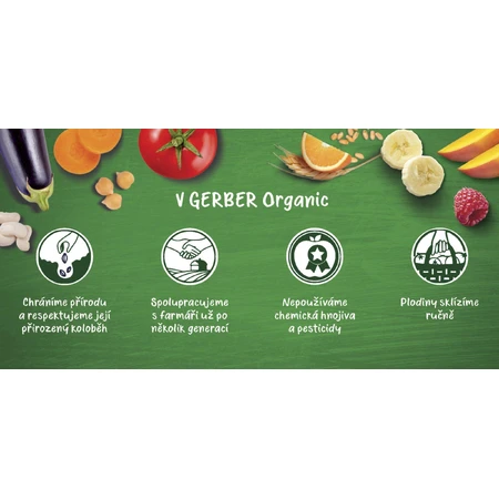 Gerber Pungă organică cu mere, banane, afine și mure 100% BIO 6m+ 16 x 90 g