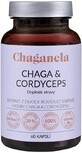 Chaganela Extracto de Chaga con cordyceps 60 c&#225;psulas