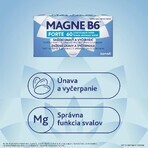 Magne B6 FORTE 60 comprimidos