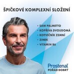 Prostenal Walmark Control 90 Tabletten