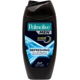 Palmolive SG MEN AZUL Arct. Puro Refr. 250 ml