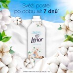 Lenor Cotton fresh Weichspüler 2 x 1200 ml