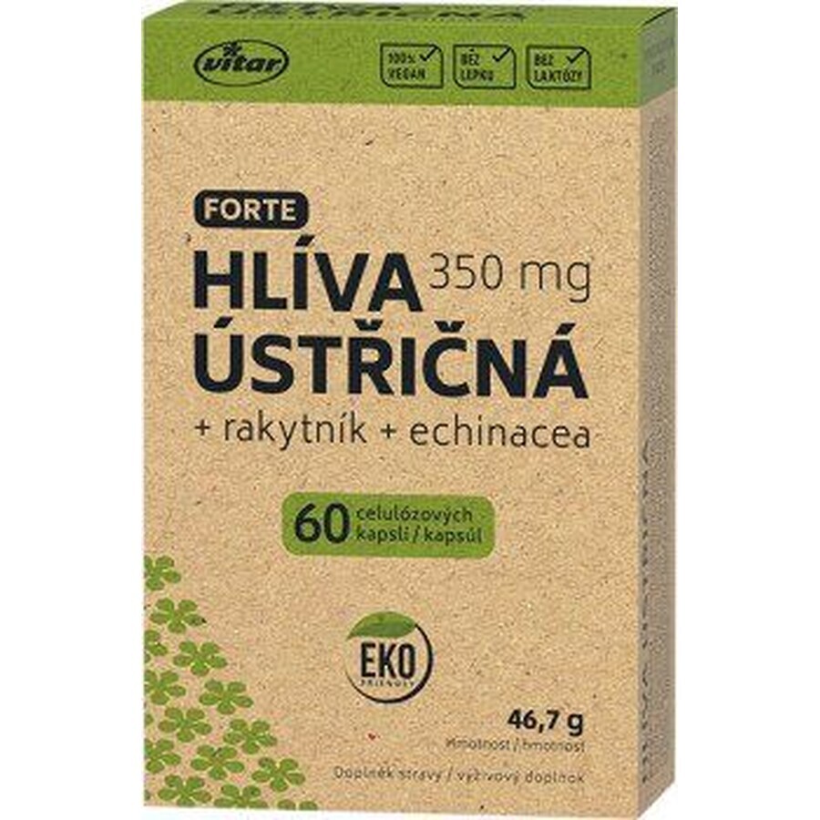 Vitar Hongo ostra + Espino amarillo + Equinácea Forte 60 cápsulas