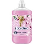 Acondicionador para tejidos Coccolino Silk lily 1,7 l