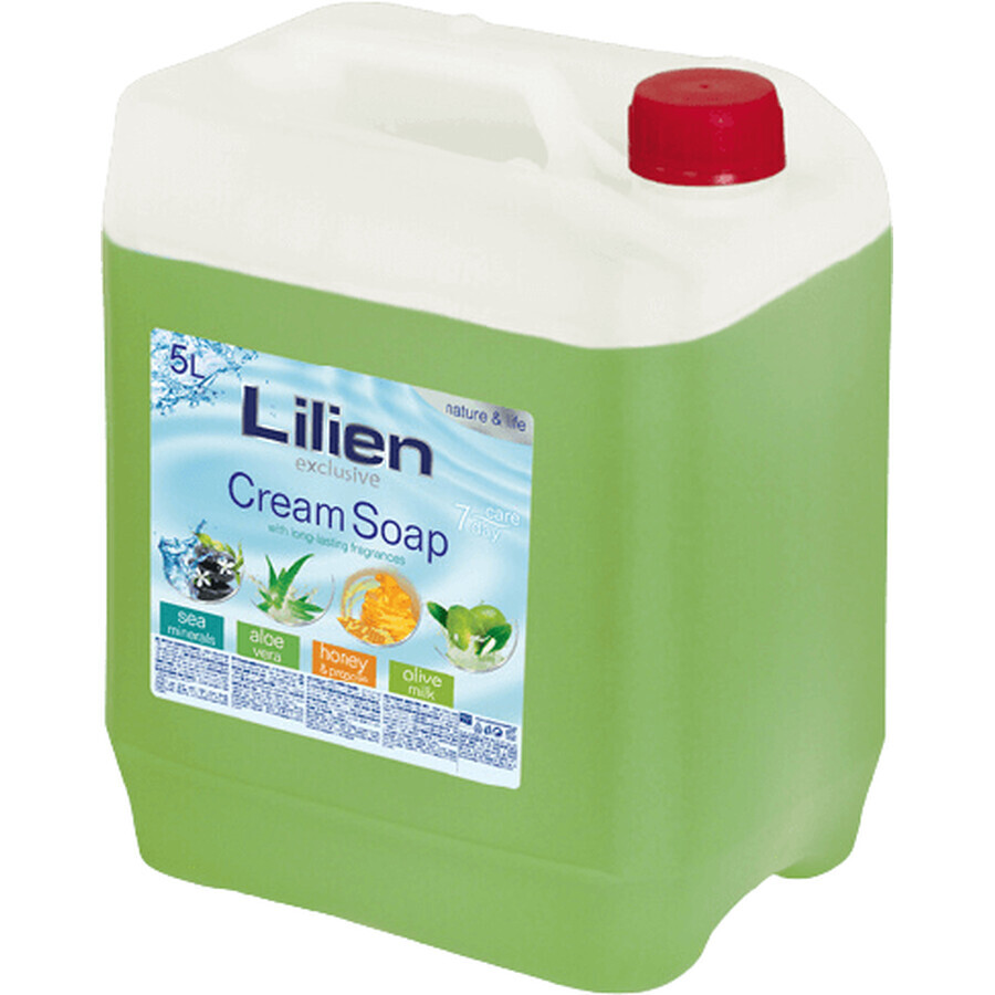 Lilien Aloe Vera cremige Flüssigseife 5 l