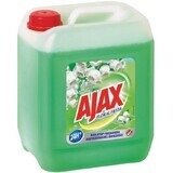 Ajax Floral Fiesta Universal Detergent, Spring Flowers 5 l