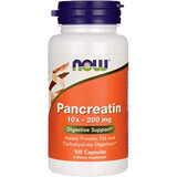 Now Foods Pancreatin 100 cápsulas