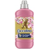 Acondicionador para ropa Coccolino Madreselva 1,27 l