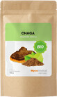 MycoMedica Chaga en polvo 100 g